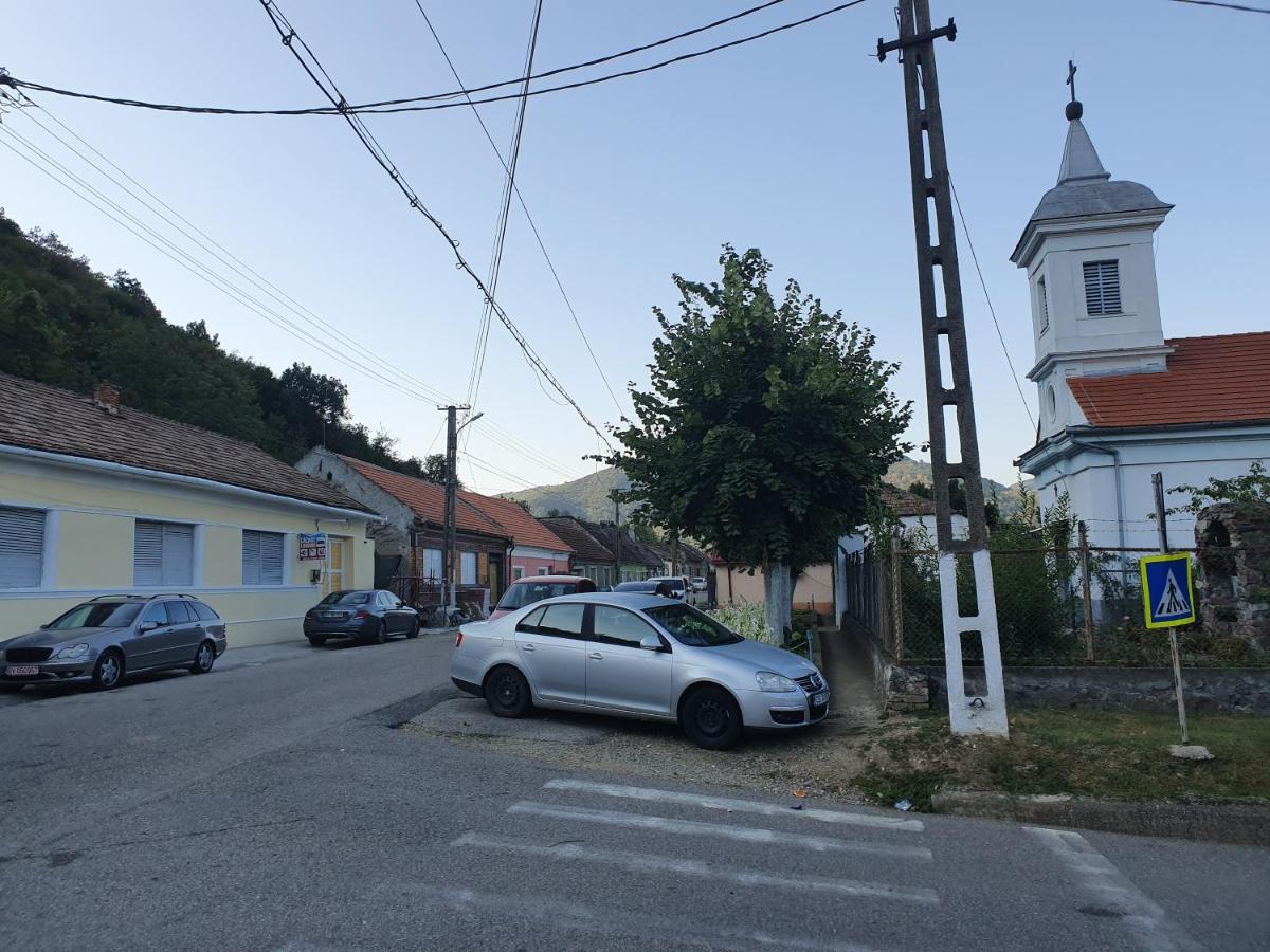 Albina Dunareana Hotel Berzasca Buitenkant foto