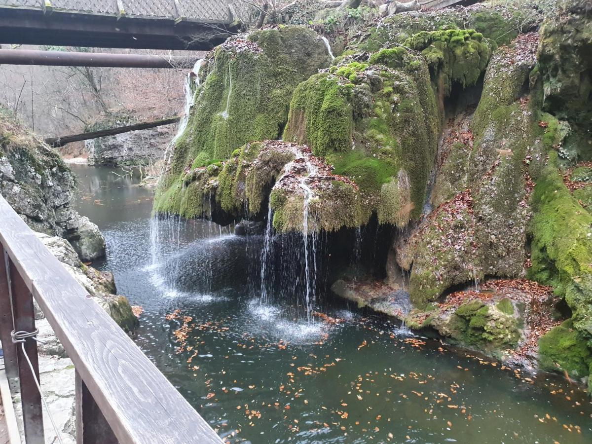 Albina Dunareana Hotel Berzasca Buitenkant foto